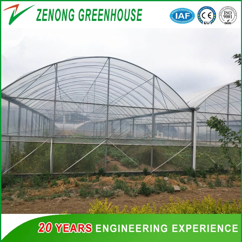 Dome Roof Greenhouse Covered with Durable Film for Seed Nursery/Vegetable Planting/Flowers Growing