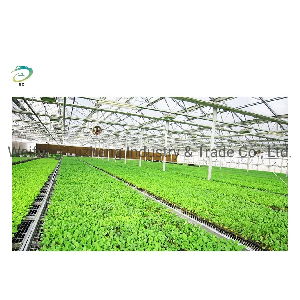 China Easy Assemble Polycarbonate PC Sheet Commercial Garden Greenhouse with Hydroponics/ Planting System/ Light System/ Agriculture/ Livestock Breeding