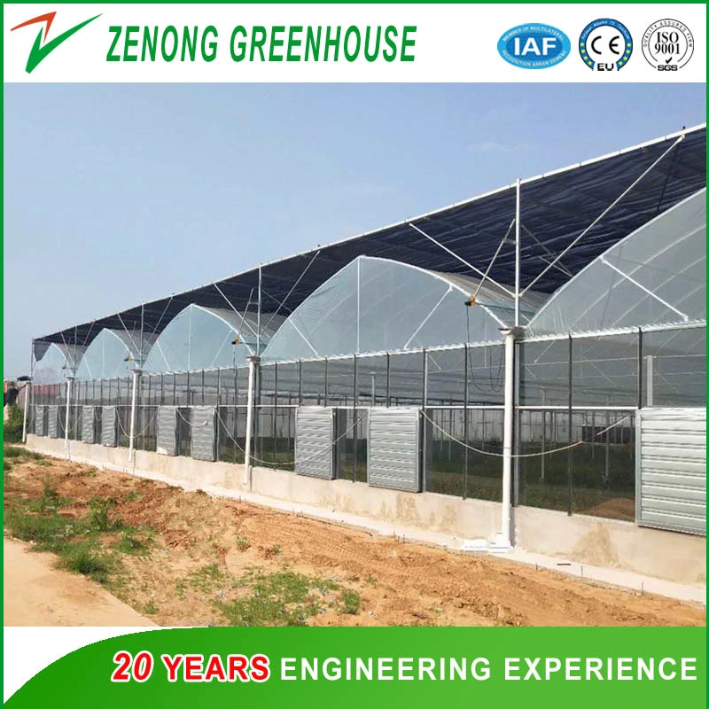 Effective Greenhouse Outside Shading Screen for Lowing The Temperature Not Sunburn The Crops