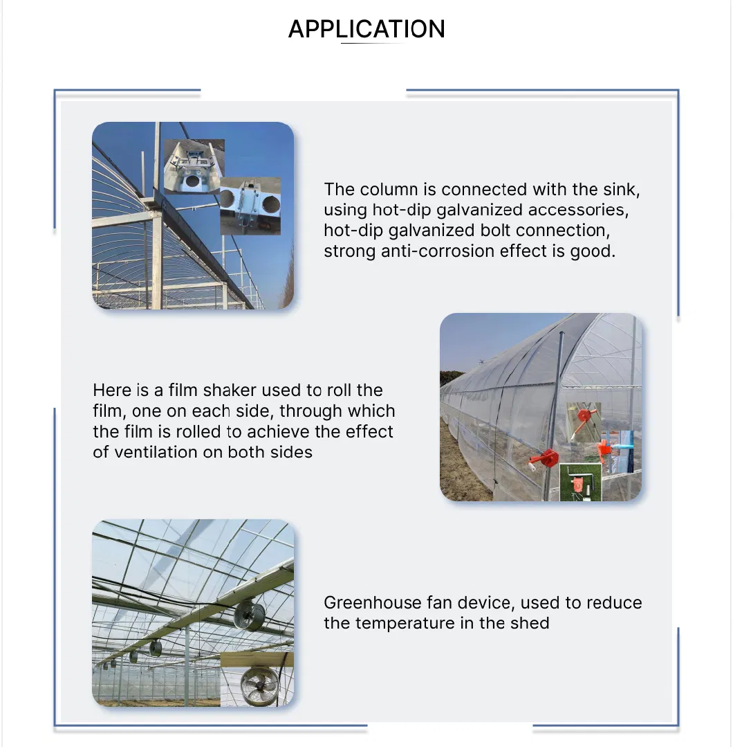 Multi-Span Polycarbonate (PC) Sheet Greenhouse with Hot Galvanized Steel Framework