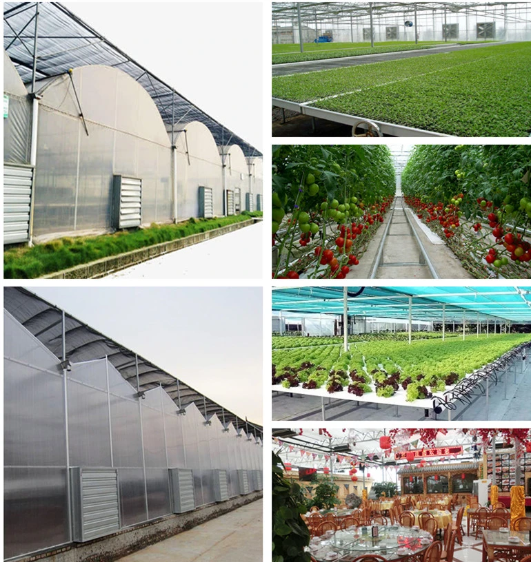 Dome Roof Greenhouse Covered with Durable Film for Seed Nursery/Vegetable Planting/Flowers Growing