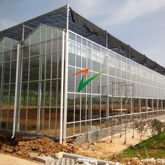 Les maisons vertes fabriquent des maisons de fleurs de fraises de tomates multi-envergures, l'irrigation de refroidissement cultive une serre en verre de tente