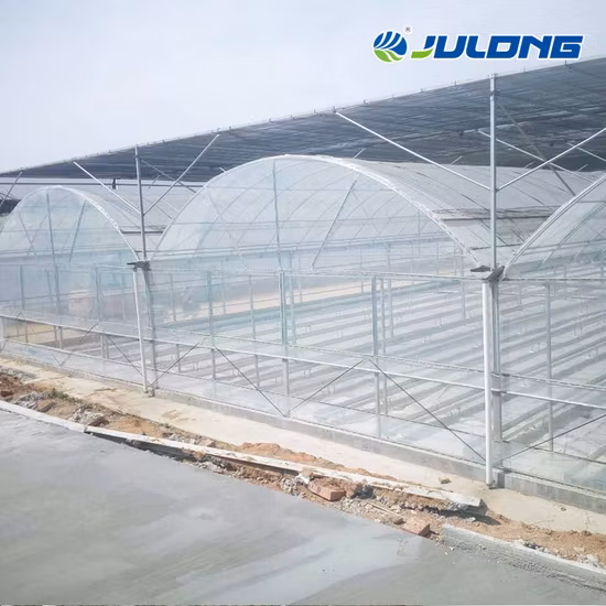 Fournisseur de serre chinoise de haute qualité avec système de refroidissement de système hydroponique pour tomates