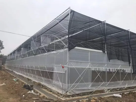 Trinog Chine a fabriqué une serre agricole à film plastique hydroponique à plusieurs travées pour une ferme commerciale