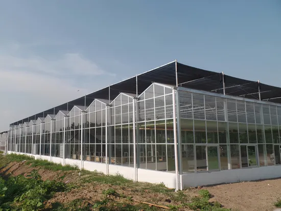 Serre en polycarbonate à toit triangulaire agricole avec coussin de refroidissement et ventilateurs