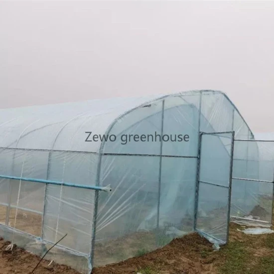 Mini serre tunnel de jardin pour maison agricole à faible coût recouverte de PVC pour entrepôt/fleur/maison préfabriquée