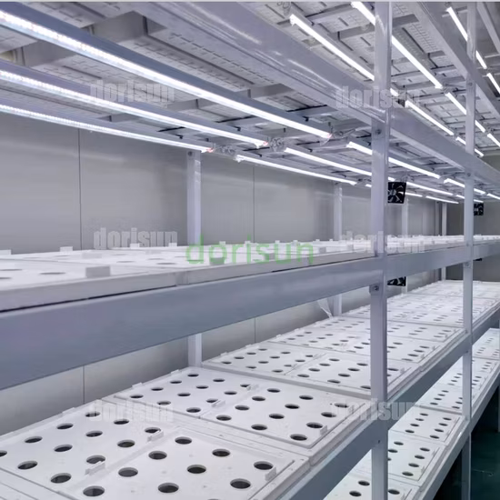 Conteneur de ferme de serres de système de chauffage et de refroidissement de contrôle facile de 9600*650*2350mm