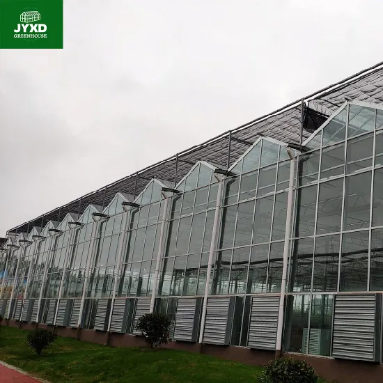 Serre creuse double en verre trempé Venlo avec système de culture hydroponique pour légumes