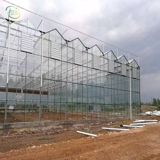 Serre commerciale agricole avec aquaponie/ventilateur de refroidissement/chauffage/chaudière/filet pour plantes fruitières