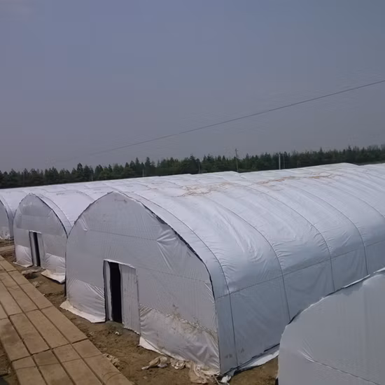Serre tunnel avec système de privation de lumière, ombrage à 100 % avec système d'occultation